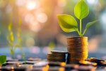 © Poorna Himasha - stock.adobe.com Pflanze wächst aus Münzstapel