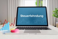 Steuerfahndungsstatistik